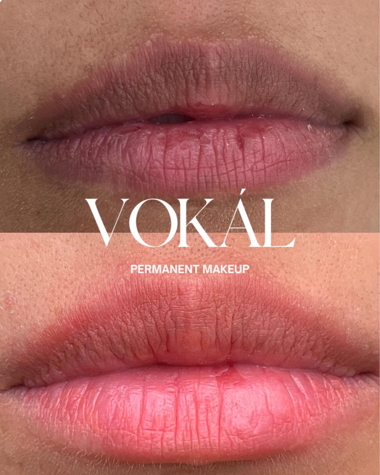 VOKAL PMU lip pigment before and after color correction result